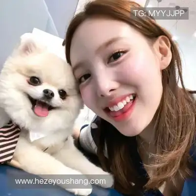 明锦柳